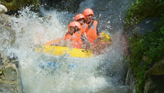 金顶山下丛林康养 天中福地逍遥度假