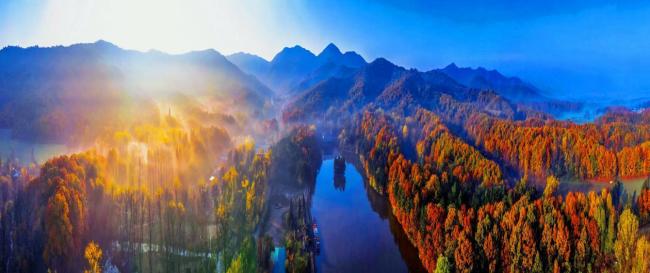 金顶山下丛林康养 天中福地逍遥度假