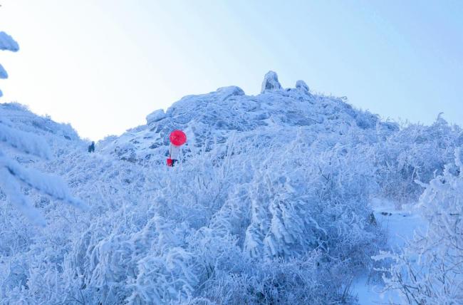 金顶山下丛林康养 天中福地逍遥度假