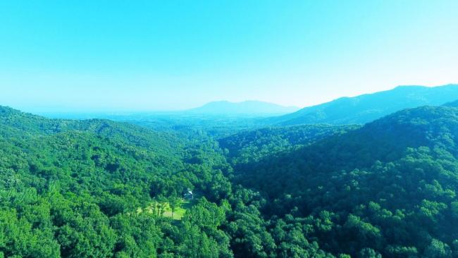 金顶山下丛林康养 天中福地逍遥度假